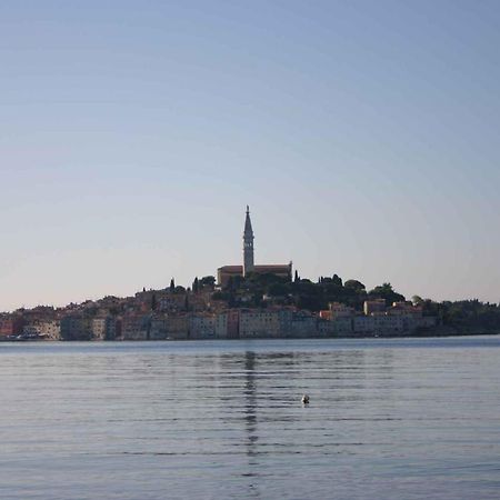 Apartment In Rovinj/Istrien 11533 Bagian luar foto
