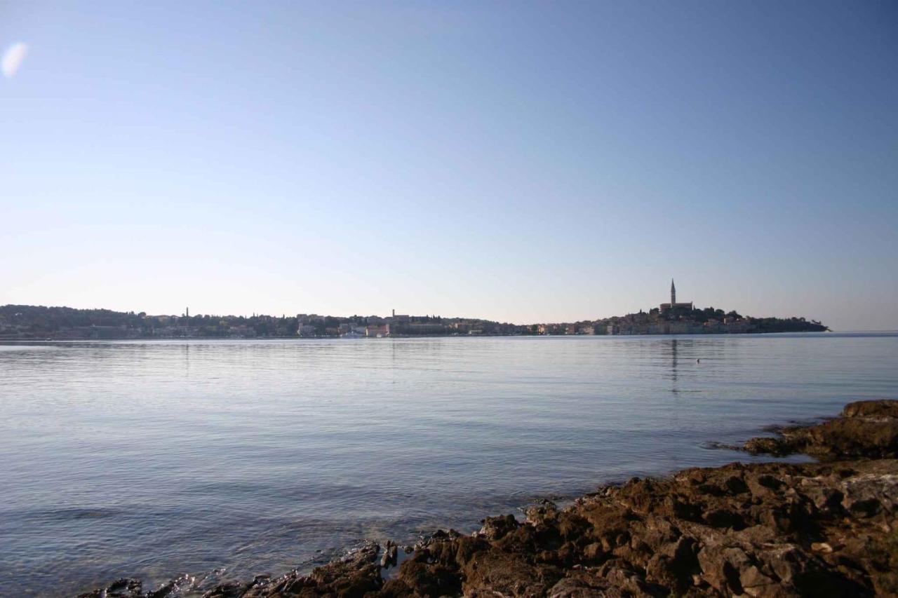 Apartment In Rovinj/Istrien 11533 Bagian luar foto
